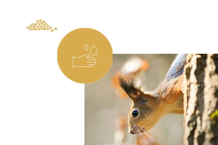 themenwelt wie und vor was soltest du dich schuetzen bei der fuetterung